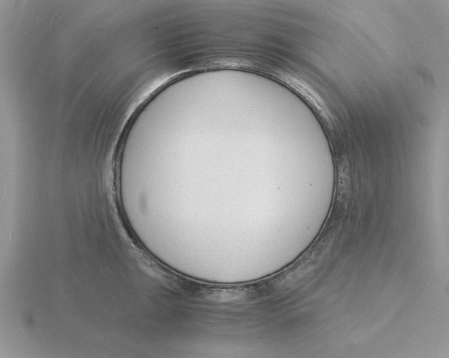 X0000115841047200912111329