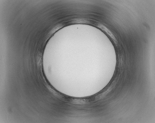 X0000115841049200912111329