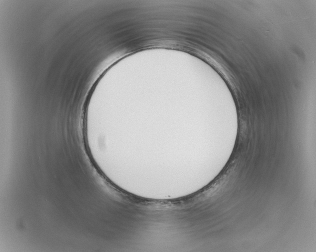 X0000115841050200912111329