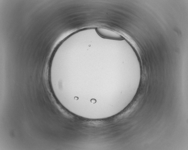 X0000115841053200912111329