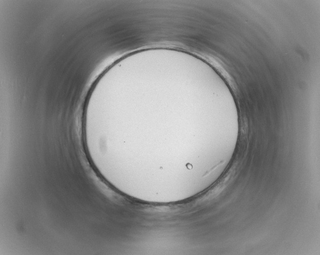 X0000115841054200912111329