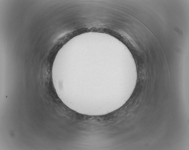 X0000115841063200912111328