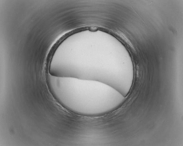 X0000115841068200912111328