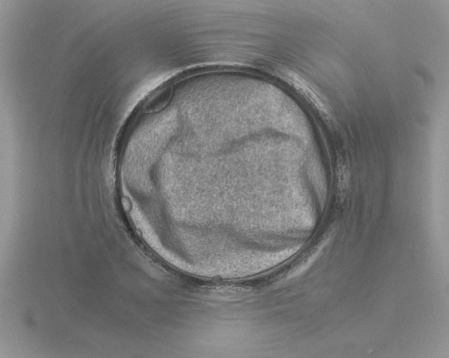 X0000115841077200912111328