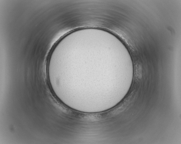 X0000115841078200912111328