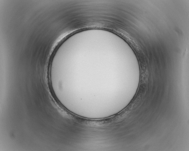 X0000115841086200912111328