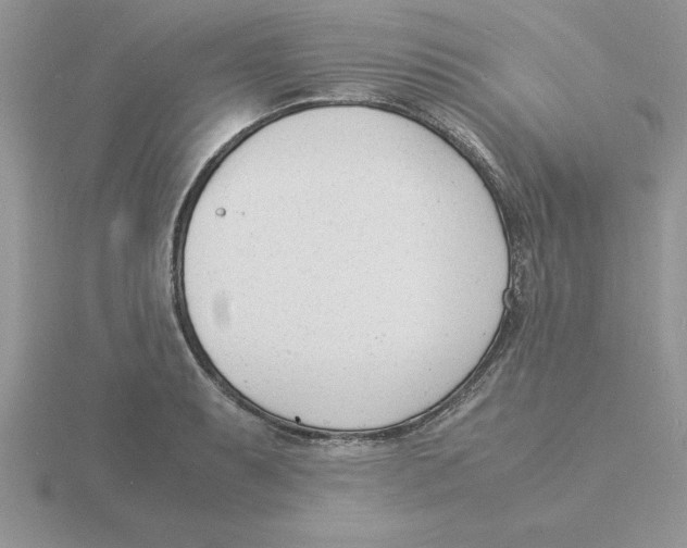 X0000115841087200912111328