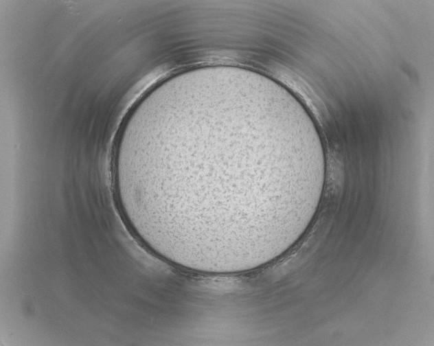 X0000115841090200912111328