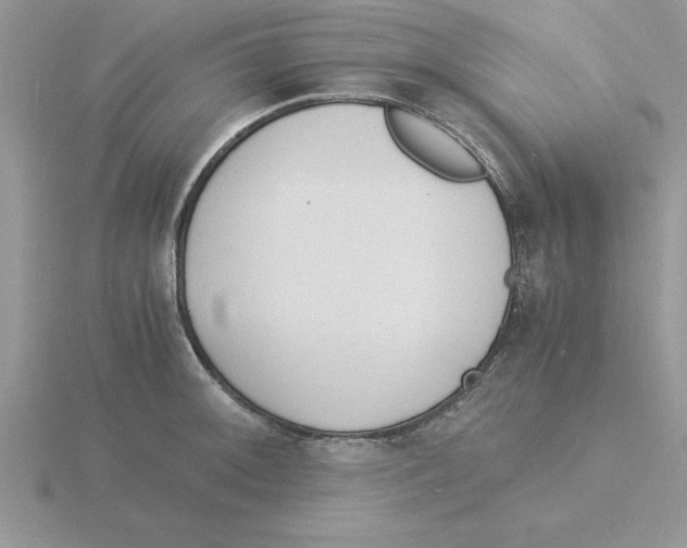 X0000115841092200912111328