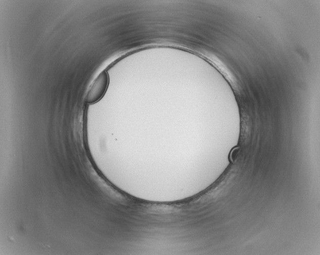 X0000115841100200912111327