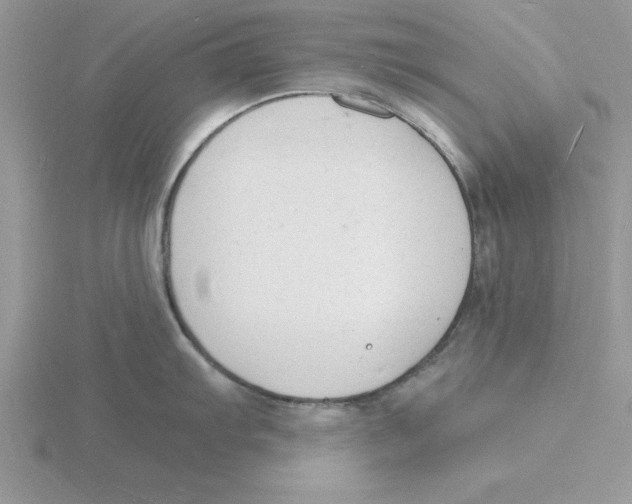 X0000115841103200912111327