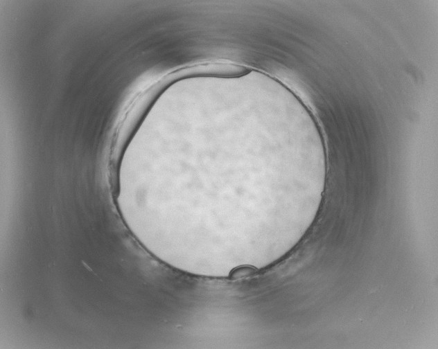 X0000115841104200912111327