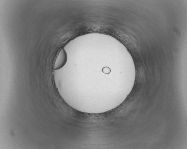 X0000115841105200912111327