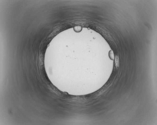 X0000115841107200912111327