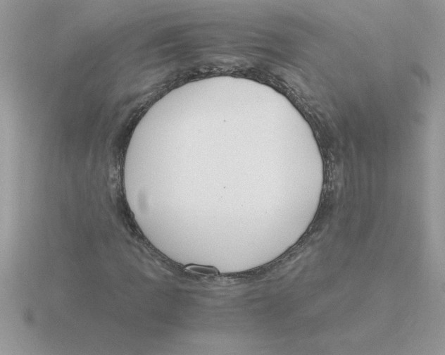 X0000115841109200912111327