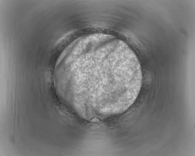 X0000115841110200912111327