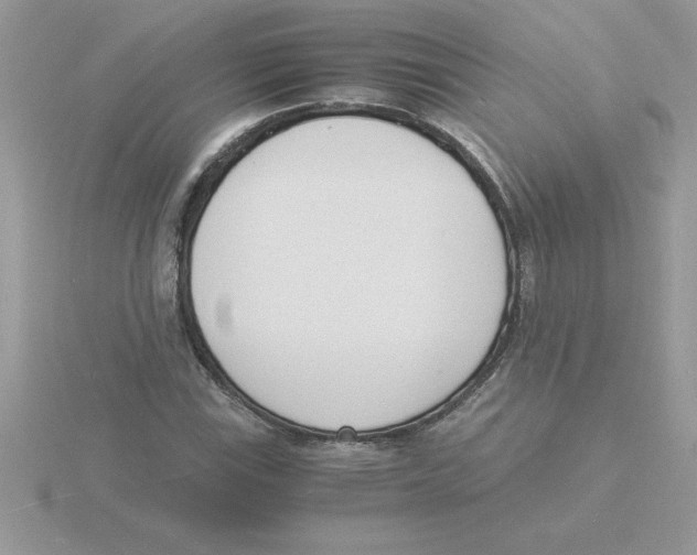 X0000115841115200912111327