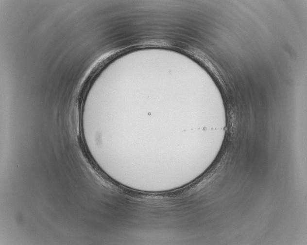 X0000115841123200912111327