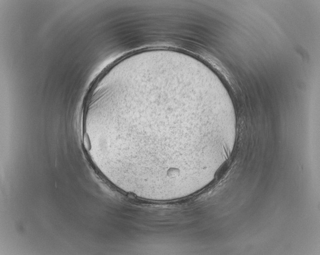 X0000115841127200912111327