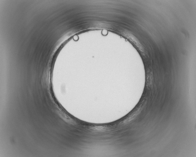 X0000115841130200912111327