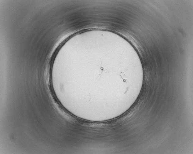 X0000115841131200912111327