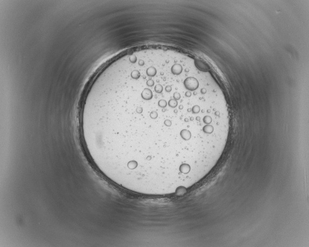 X0000115841133200912111327