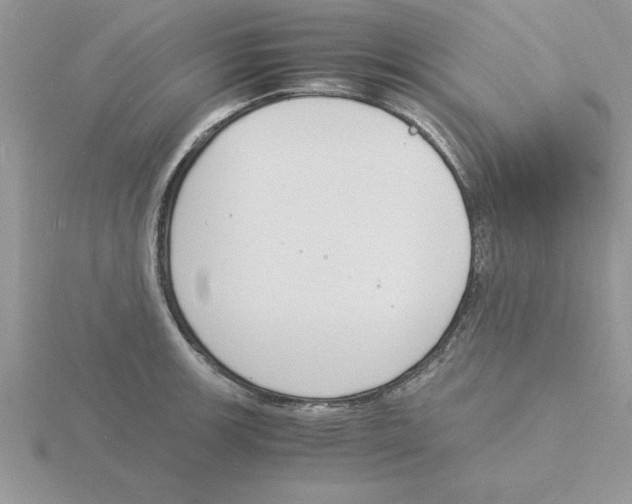 X0000115841139200912111327