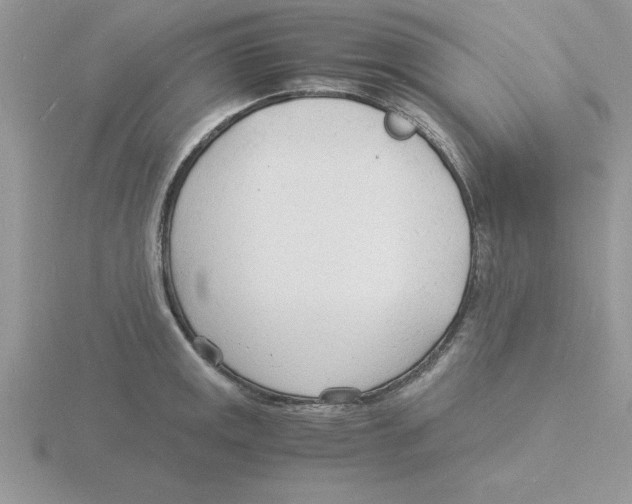 X0000115841141200912111327