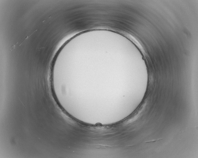 X0000115841149200912111327