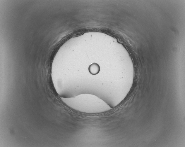 X0000115841157200912111327