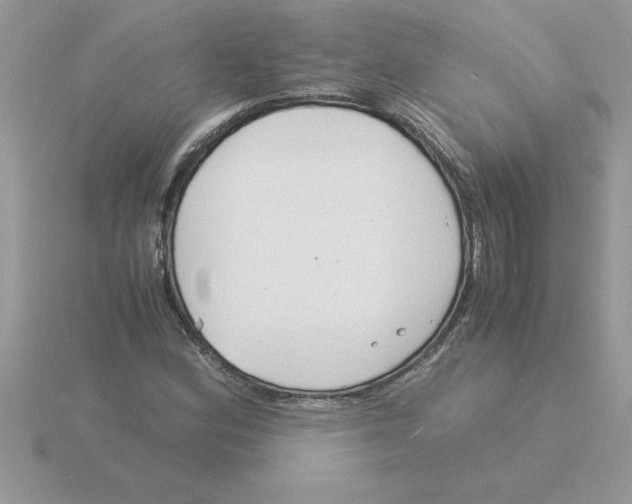 X0000115841164200912111327