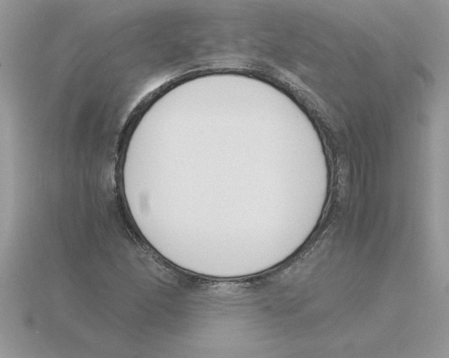 X0000115841166200912111327