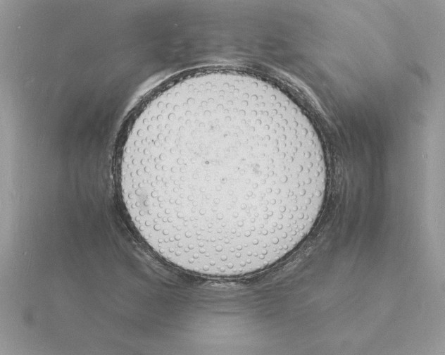 X0000115841168200912111327