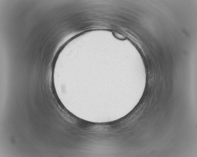 X0000115841179200912111326