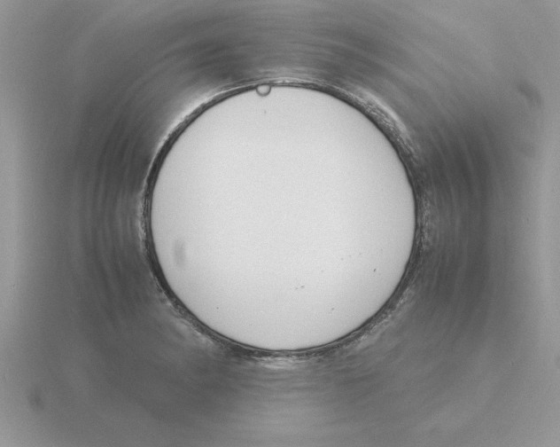 X0000115841182200912111326