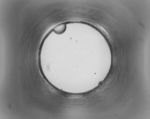 X0000115841183200912111326