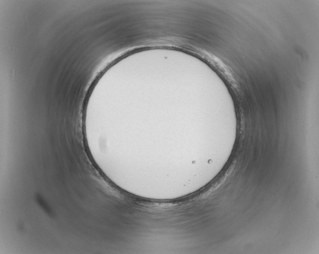 X0000115841184200912111326