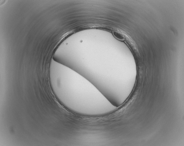 X0000115841185200912111326