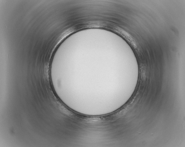 X0000115841186200912111326