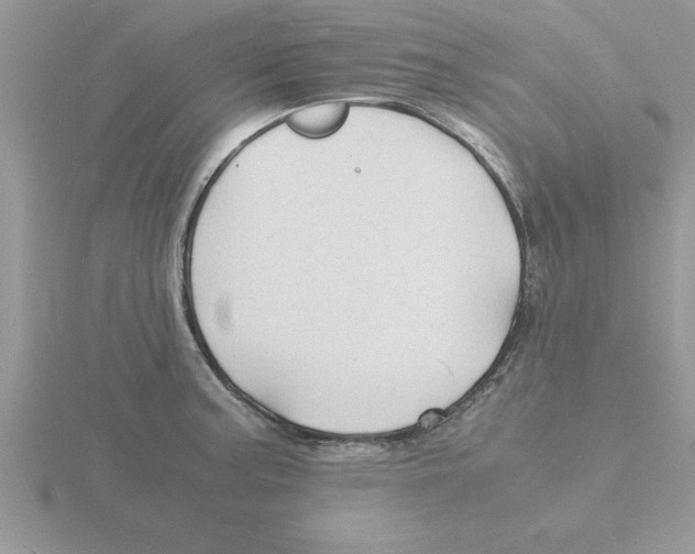 X0000115841187200912111326