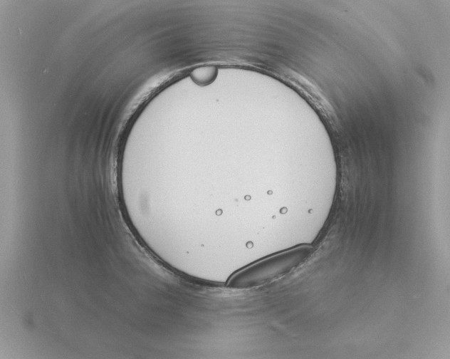 X0000115841188200912111326