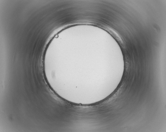 X0000115841192200912111326