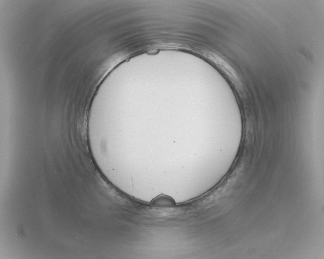 X0000115841193200912111326