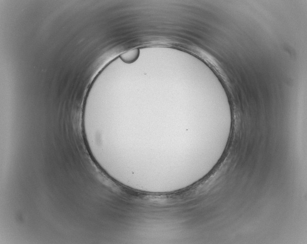 X0000115841194200912111326