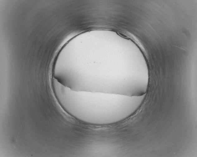 X0000115841195200912111326