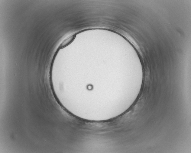 X0000115841197200912111326