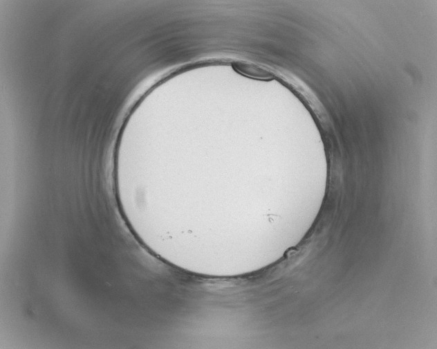 X0000115841199200912111326