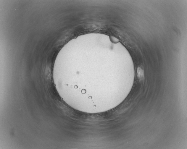 X0000115841203200912111325