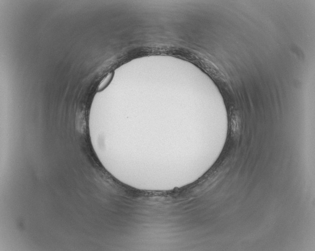 X0000115841204200912111325