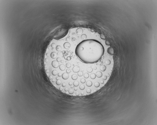 X0000115841205200912111325